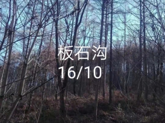 边外林场2号标（立木）