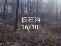 边外林场2号标（立木）